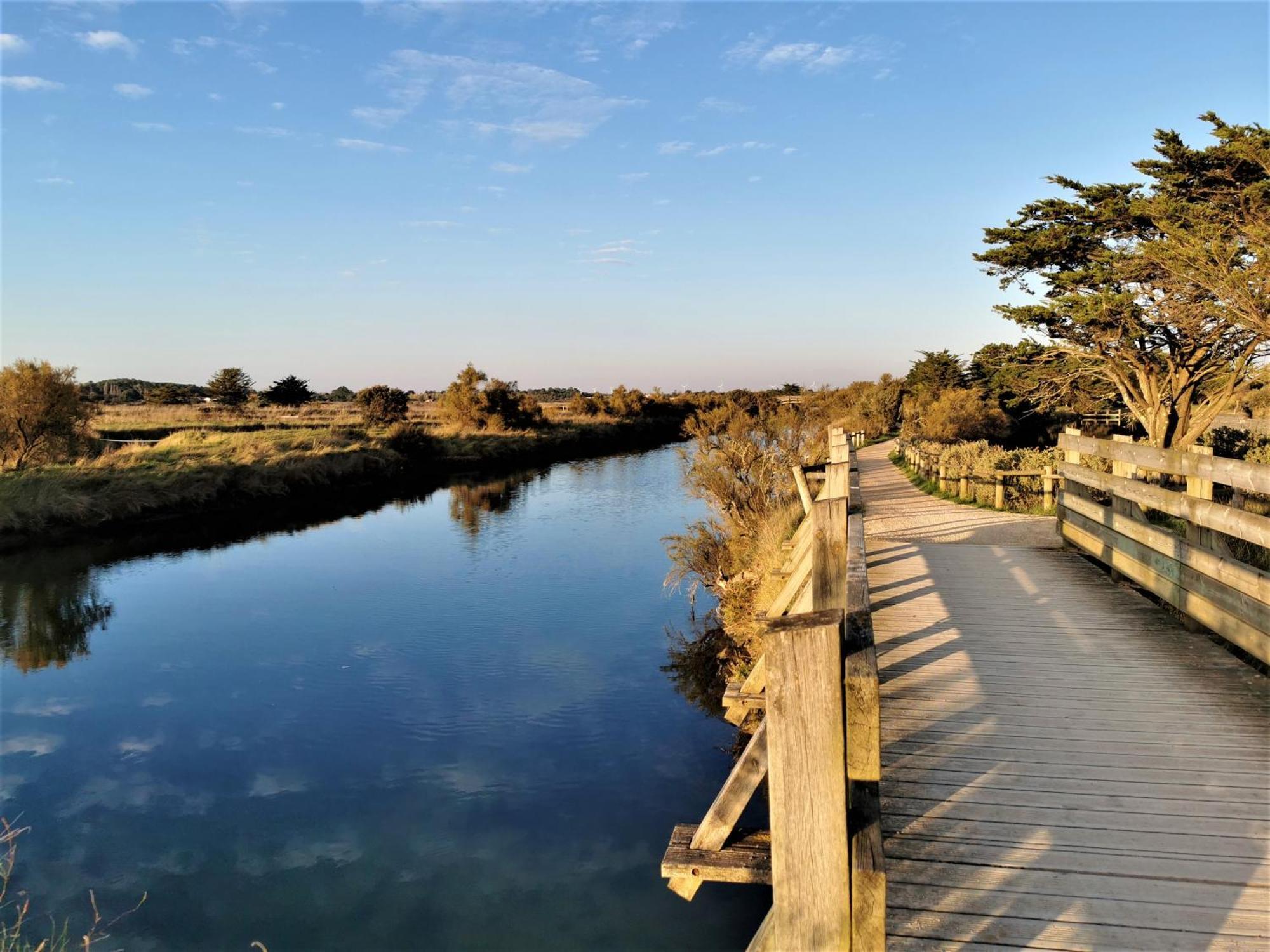 La Lezardiere A Deux Pas Des Quais Villa Les Sables-dʼOlonne Dış mekan fotoğraf